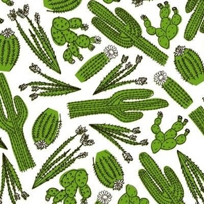 Cactus Scatter (White)