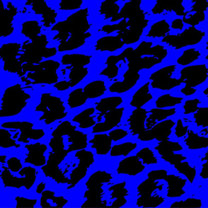Blue and Black Wild Cat Spot