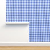 fisherman's gingham - bright blue and white, 1/4" squares 