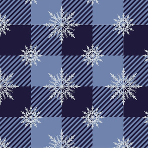 Snowflake Gingham