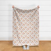 Shelties and beagles on white background