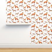 Shelties and beagles on white background