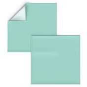 solid mint green (A4DDD1)