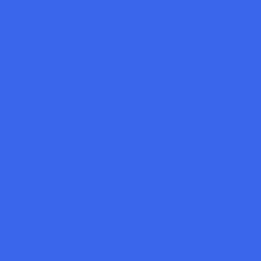 solid bright blue (3866EB)