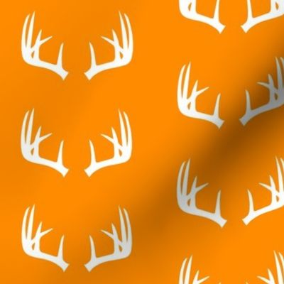 Antlers on orange // great outdoors