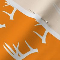 Antlers on orange // great outdoors