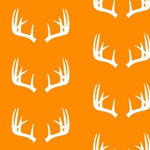 Antlers on orange // great outdoors