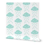 rain cloud mint