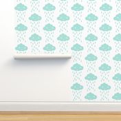 rain cloud mint