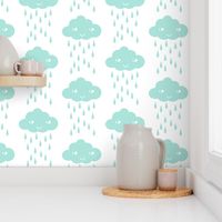 rain cloud mint