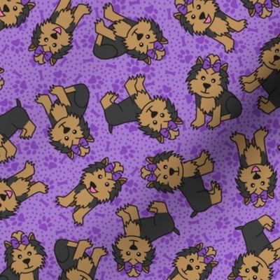 Yorkie Party (Purple)