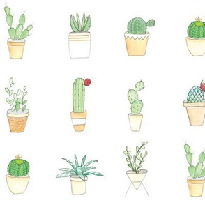 Watercolor Cactus Garden