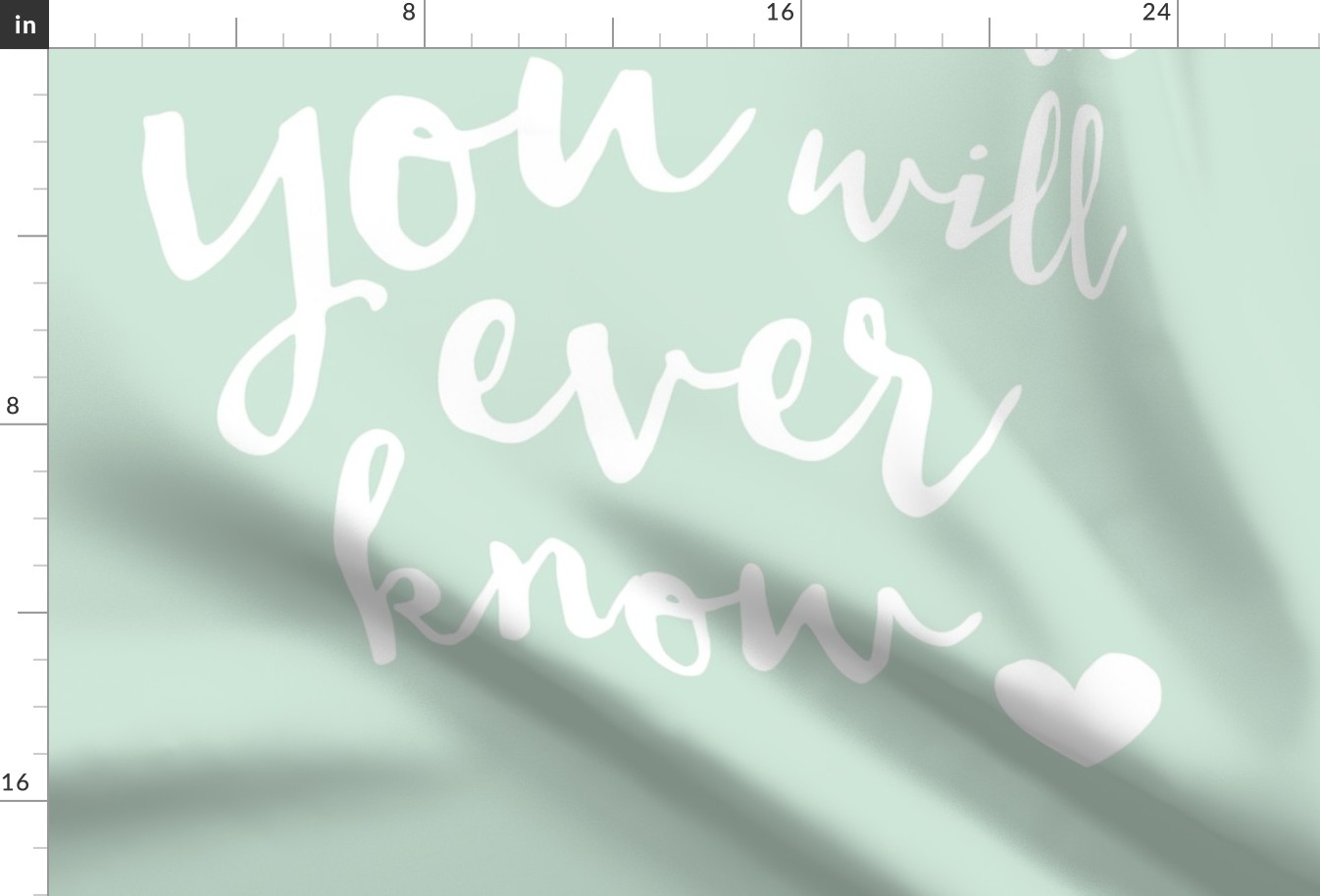 27" I LOVE YOU MORE THAN YOU WILL EVER KNOW // MINKY LAYOUT MINT