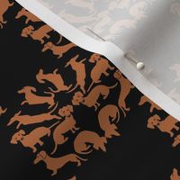 Doxie Damask Tan on Black