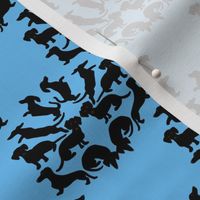 Doxie Damask Black on Blue