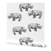 Rhinos