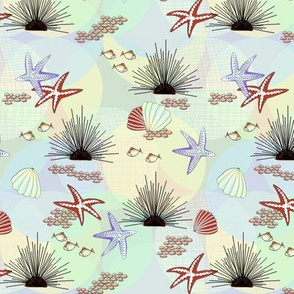 Starfish,_Sea_Urchins, Fish_on_coord_3