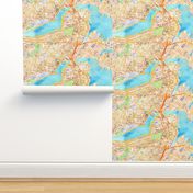 Boston watercolor map * blanket size*