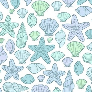 seashells - cool