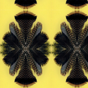 feather fan 2 on yellow paper