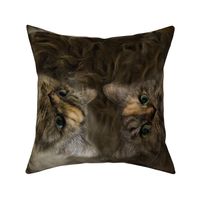 Furry Cat Pillow - Semmi