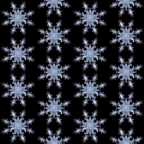 Tile_11_-_2014_Nov_8_-_Spoonflower