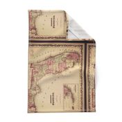 Florida vintage map, small (FQ)