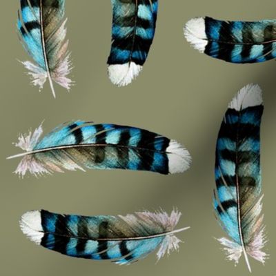 Blue Jay Feather Twins