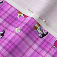 JRT Girls On Pink Plaid