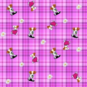 JRT Girls On Pink Plaid