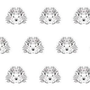 hedgehog