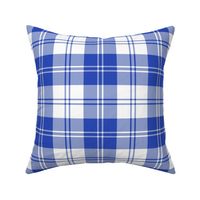 Erskine dress light royal blue tartan, 6"