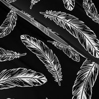 feathers - white on black