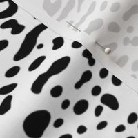 Ooh La La! Leopard ~ Black and White 