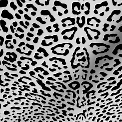 Ooh La La! Leopard ~ Black with White on Silver Leaf