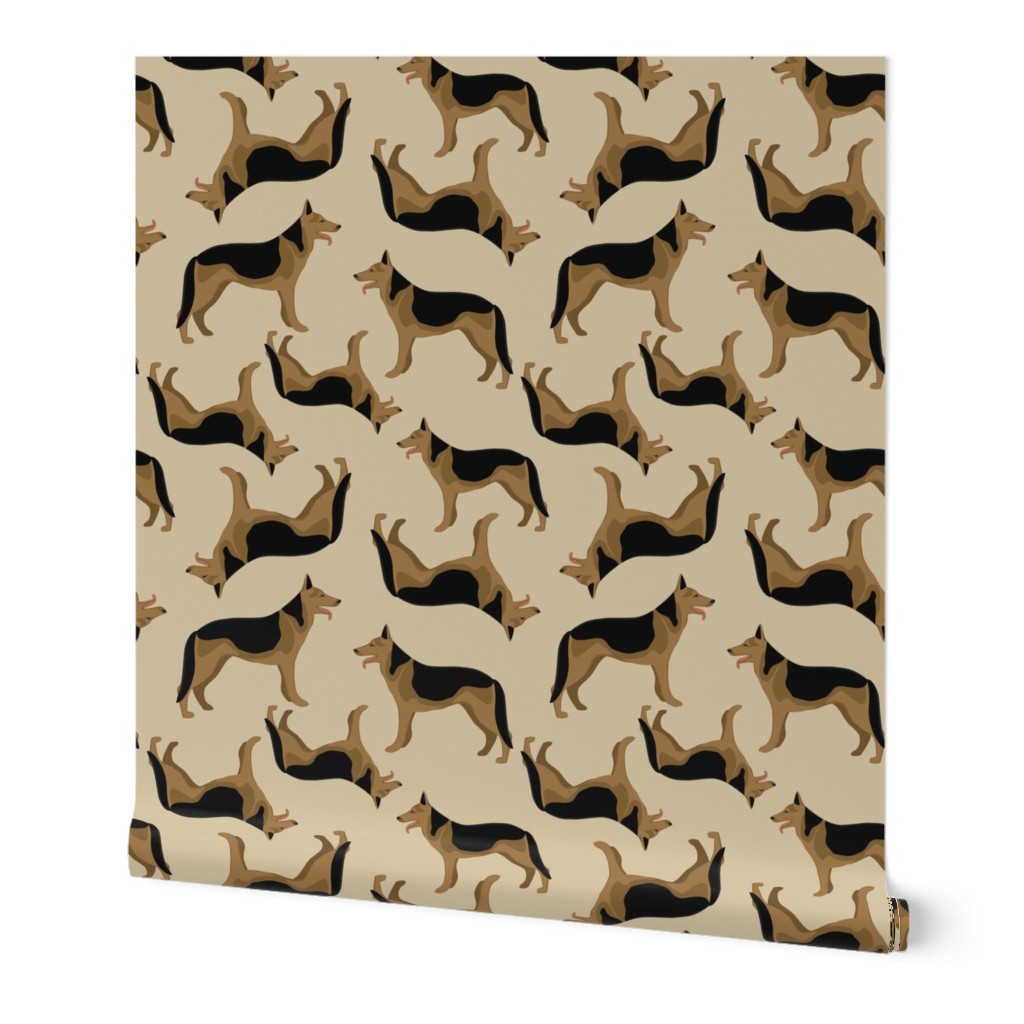 German shepherd on beige background