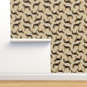 German shepherd on beige background