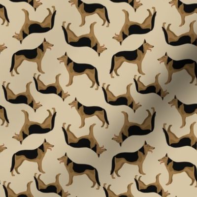 German shepherd on beige background