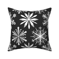 Snowflakes_gray