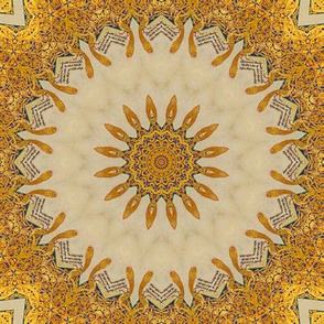 Gold and Blue Sunburst Illuminated Manuscript