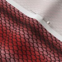 Red Dragon Scales