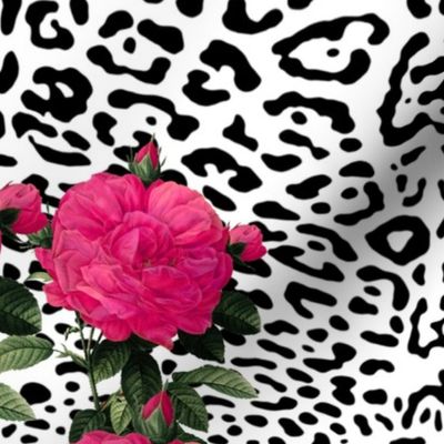 Ooh La La! Leopard with Hot Pink Redoute Roses ~ Large