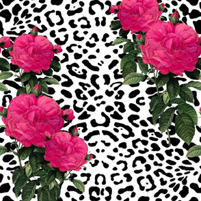 Ooh La La! Leopard with Hot Pink Redoute Roses ~ Large