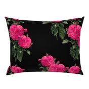 Redoute Rose ~ Hot Pink on Black