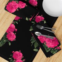 Redoute Rose ~ Hot Pink on Black