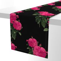 Redoute Rose ~ Hot Pink on Black