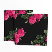 Redoute Rose ~ Hot Pink on Black