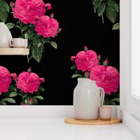 Redoute Rose ~ Hot Pink on Black