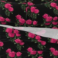 Redoute Rose ~ Hot Pink on Black