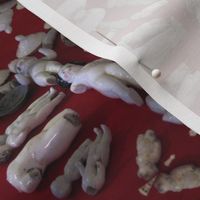 Porcelain Doll Mortuary
